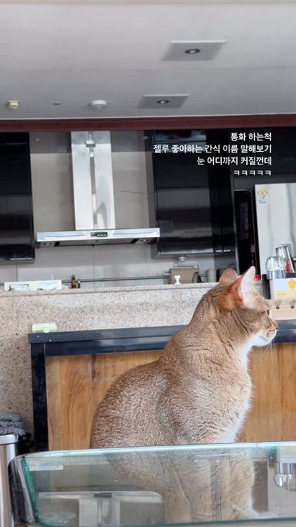 삼부자네건어물 인기 게시물