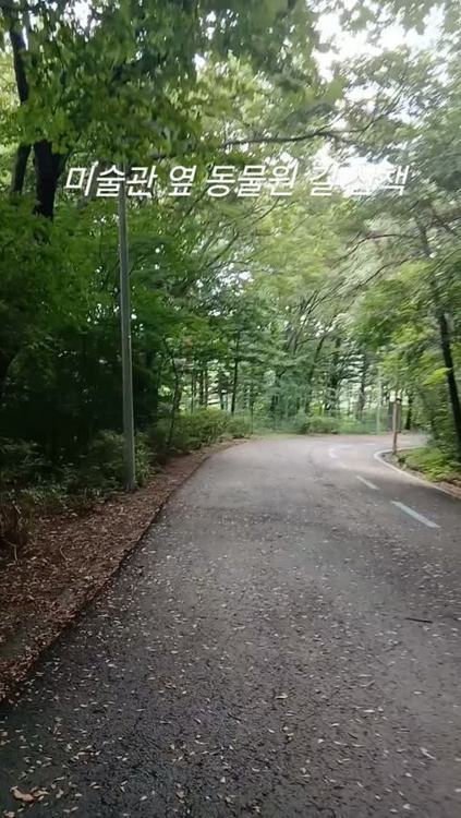 바보상회 인기 게시물
