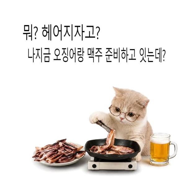 바다어보 인기 게시물