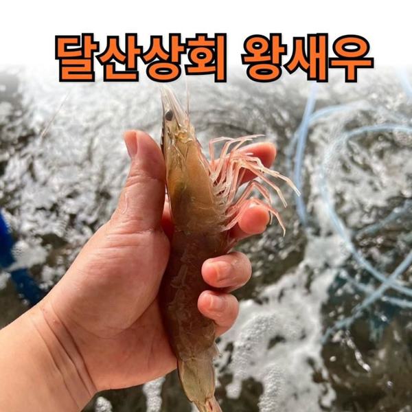 목포 달산상회 인기 게시물