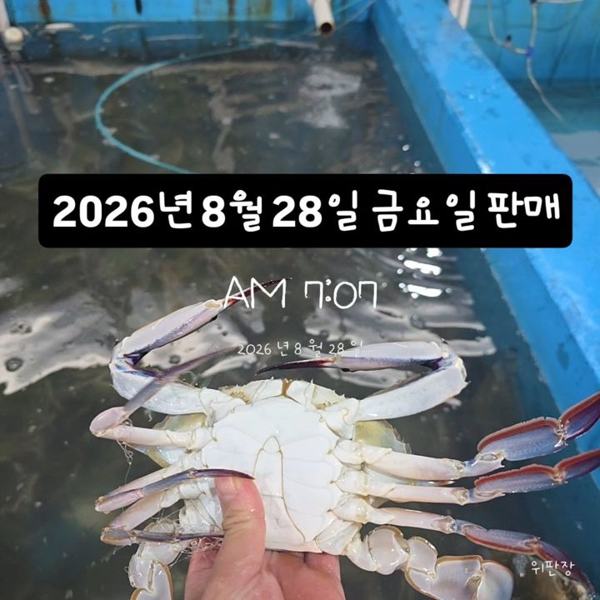 목포 달산상회 인기 게시물