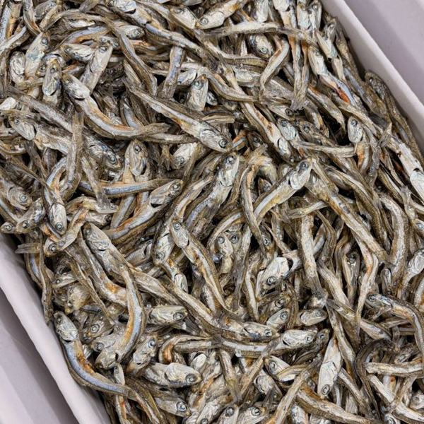 삼천포건어60번 인기 게시물