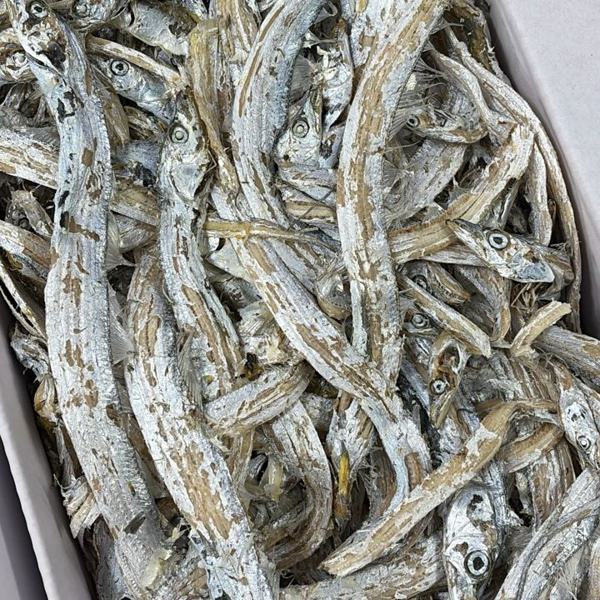 삼천포건어60번 인기 게시물