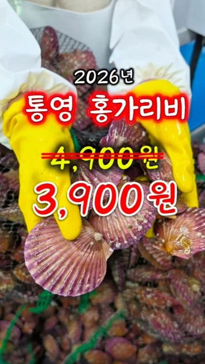피쉬데이 인기 게시물