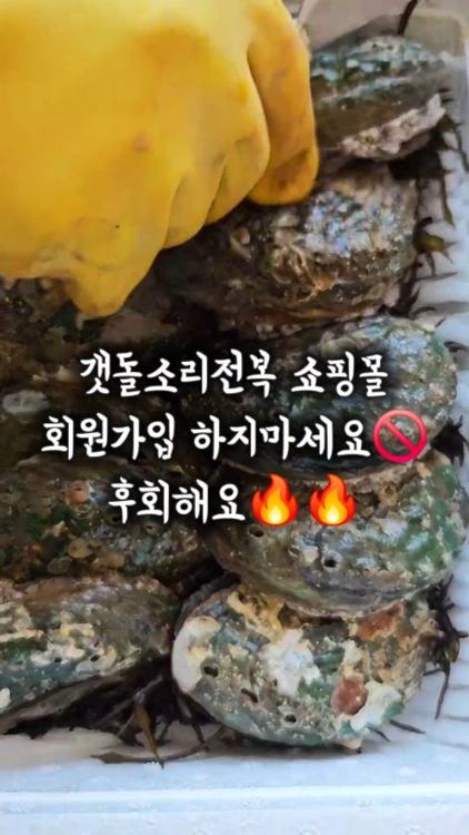 갯돌소리전복 인기 게시물