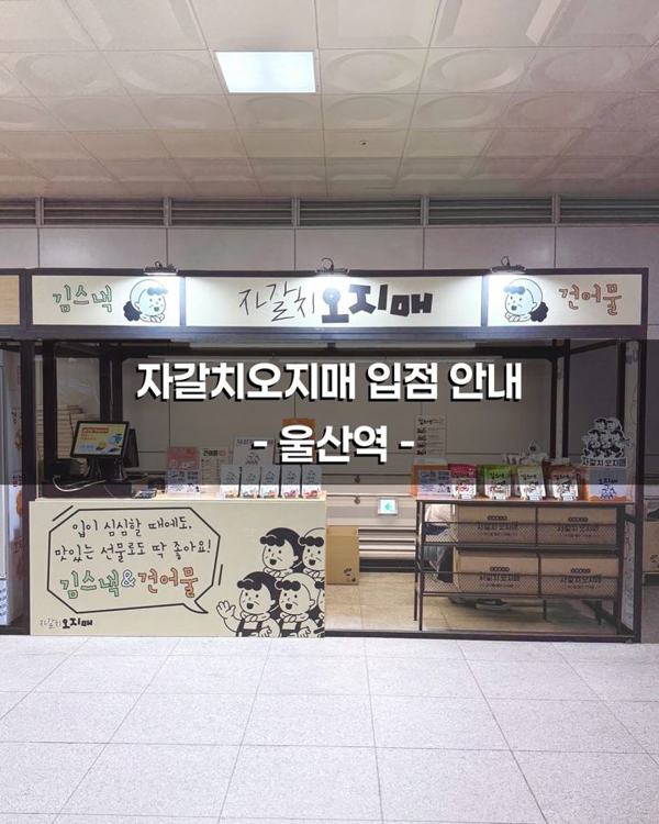 자갈치오지매 인기 게시물