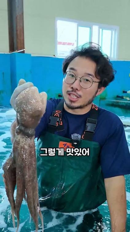 완도총각네수산물 · 「4남매 털보아빠」 인기 게시물